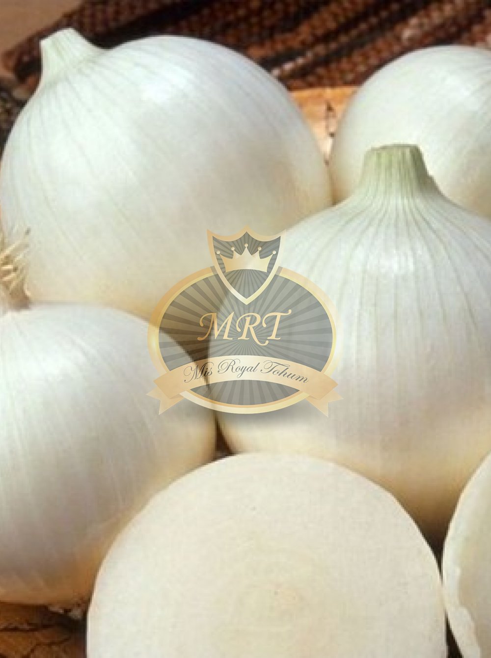 Mrtohum  SNOWWHITE F1